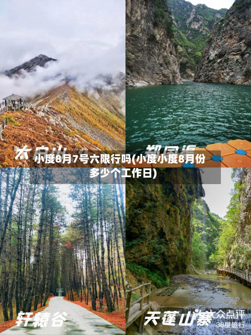小度8月7号六限行吗(小度小度8月份多少个工作日)