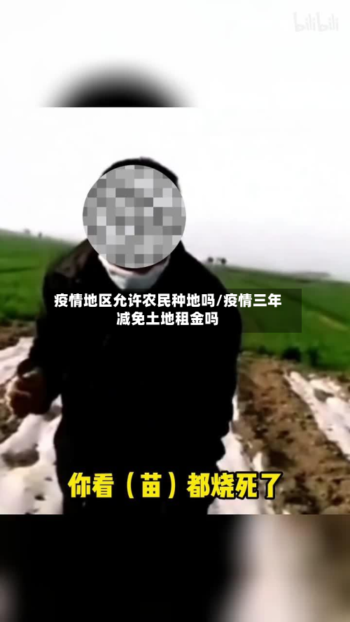 疫情地区允许农民种地吗/疫情三年减免土地租金吗-第2张图片