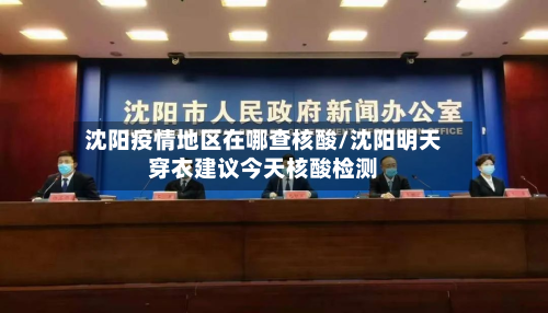 沈阳疫情地区在哪查核酸/沈阳明天穿衣建议今天核酸检测-第3张图片