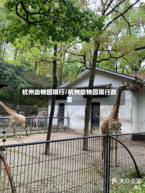 杭州动物园限行/杭州动物园限行政策