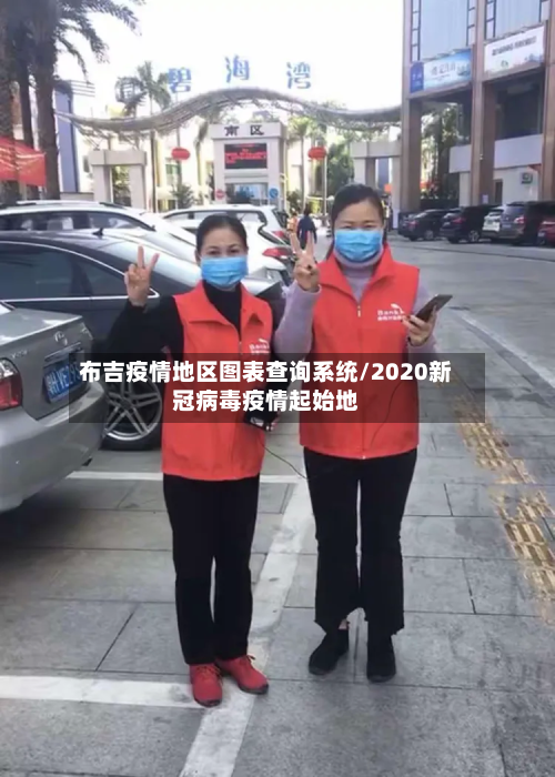 布吉疫情地区图表查询系统/2020新冠病毒疫情起始地
