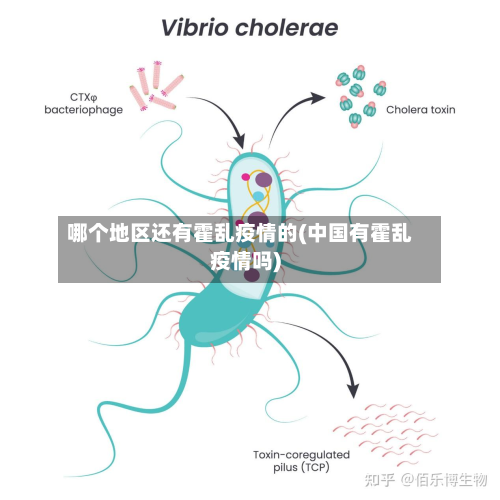 哪个地区还有霍乱疫情的(中国有霍乱疫情吗)