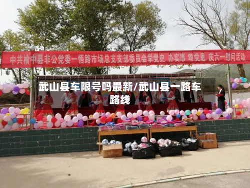 武山县车限号吗最新/武山县一路车路线-第2张图片