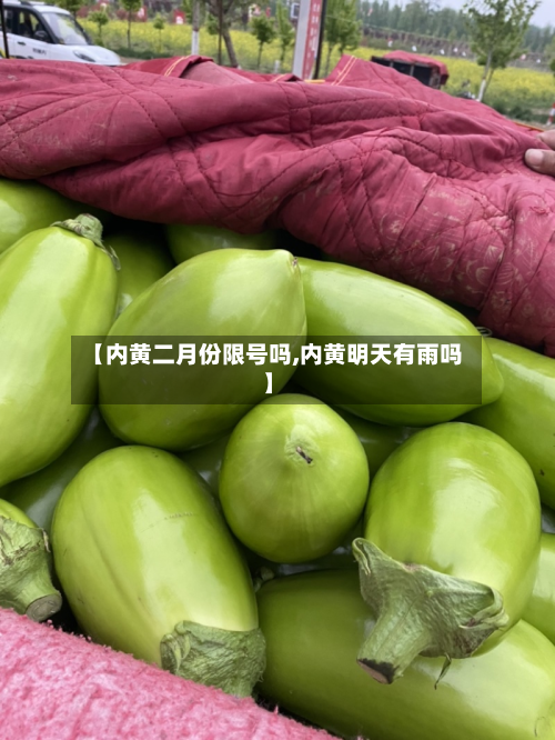 【内黄二月份限号吗,内黄明天有雨吗】-第2张图片
