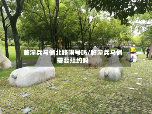 临潼兵马俑北路限号吗/临潼兵马俑需要预约吗-第2张图片