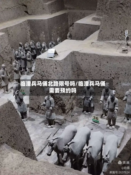 临潼兵马俑北路限号吗/临潼兵马俑需要预约吗-第3张图片