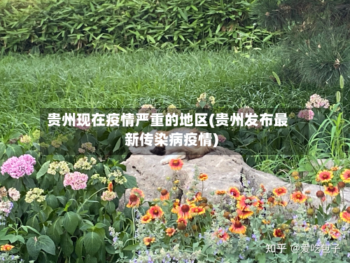 贵州现在疫情严重的地区(贵州发布最新传染病疫情)-第2张图片