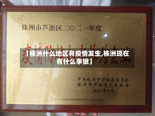 【株洲什么地区有疫情发生,株洲现在有什么事做】-第2张图片