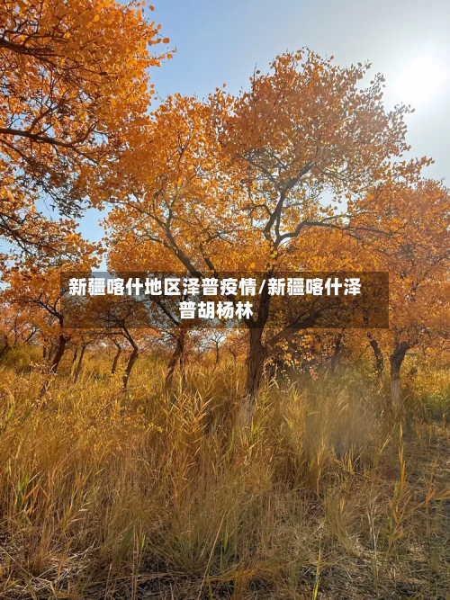 新疆喀什地区泽普疫情/新疆喀什泽普胡杨林-第2张图片