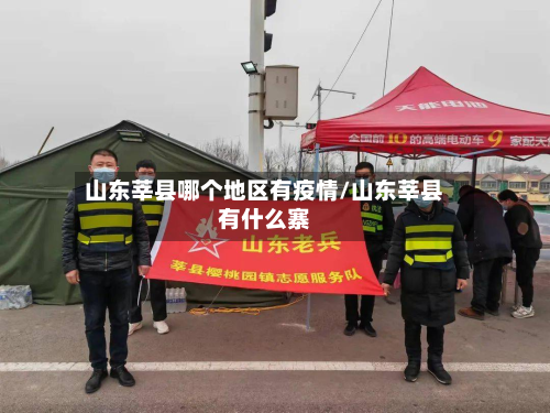 山东莘县哪个地区有疫情/山东莘县有什么寨-第2张图片