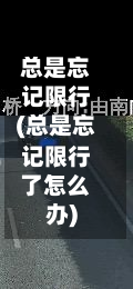 总是忘记限行(总是忘记限行了怎么办)-第2张图片