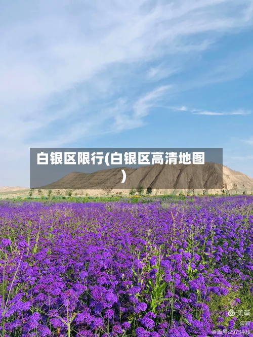 白银区限行(白银区高清地图)