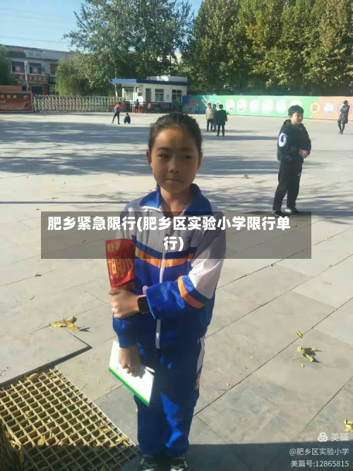 肥乡紧急限行(肥乡区实验小学限行单行)-第3张图片