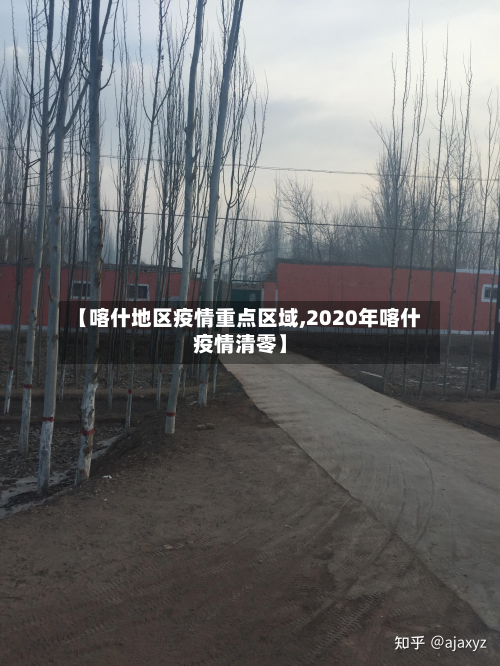 【喀什地区疫情重点区域,2020年喀什疫情清零】-第2张图片