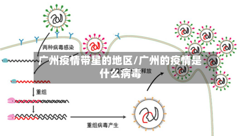 广州疫情带星的地区/广州的疫情是什么病毒
