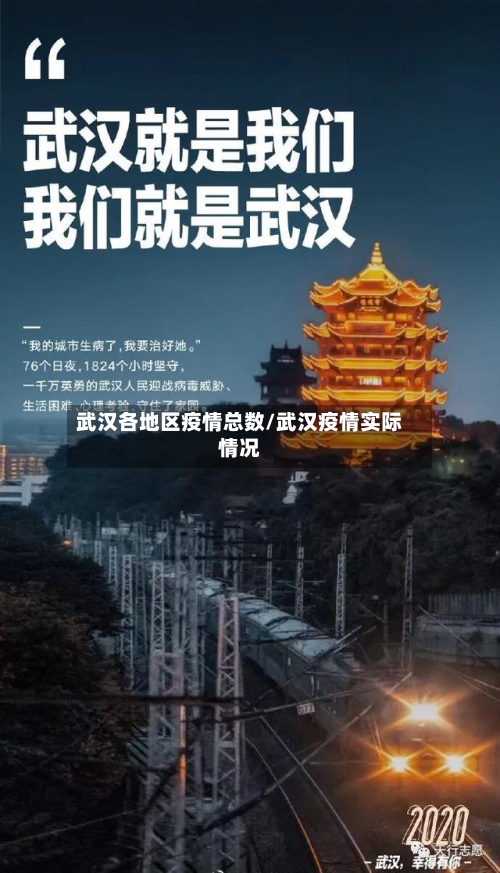 武汉各地区疫情总数/武汉疫情实际情况-第2张图片
