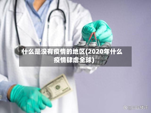 什么是没有疫情的地区(2020年什么疫情肆虐全球)