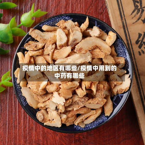 疫情中的地区有哪些/疫情中用到的中药有哪些-第3张图片
