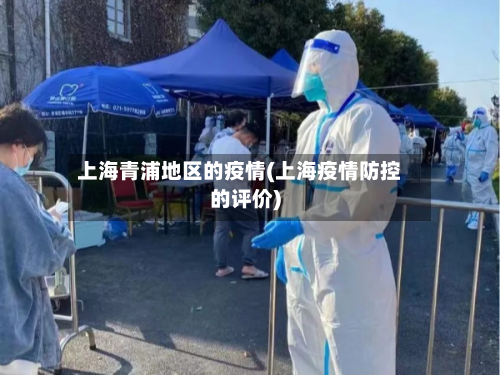 上海青浦地区的疫情(上海疫情防控的评价)-第2张图片
