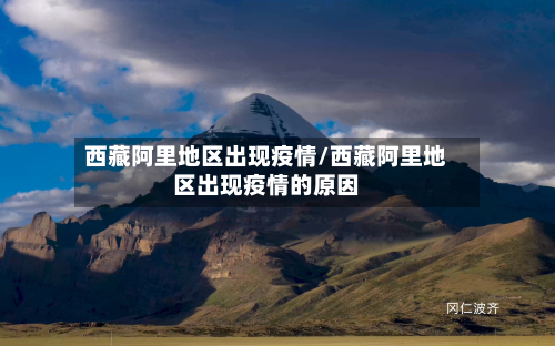 西藏阿里地区出现疫情/西藏阿里地区出现疫情的原因-第2张图片