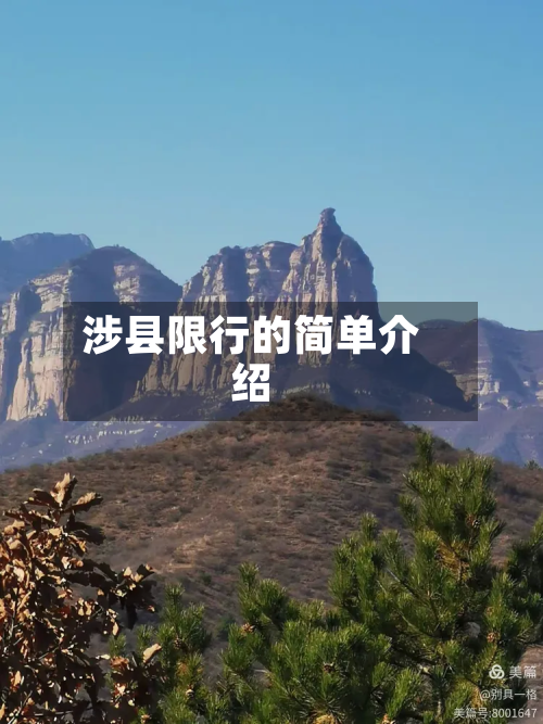 涉县限行的简单介绍-第2张图片