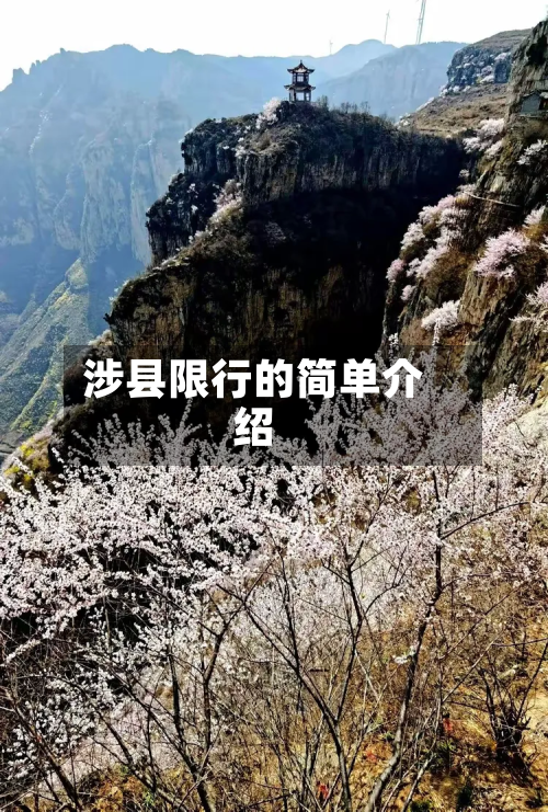 涉县限行的简单介绍-第3张图片