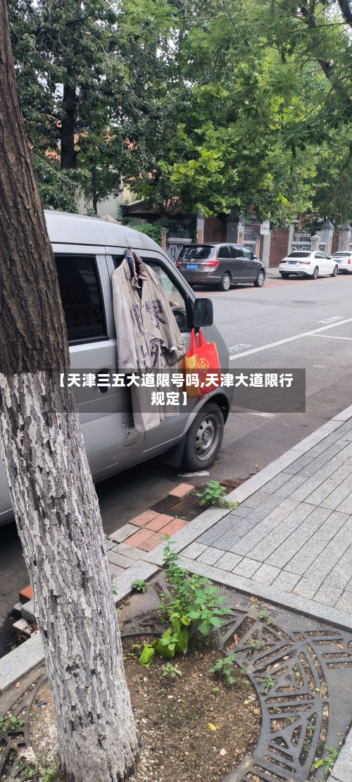 【天津三五大道限号吗,天津大道限行规定】