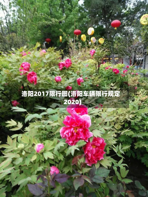洛阳2017限行图(洛阳车辆限行规定2020)