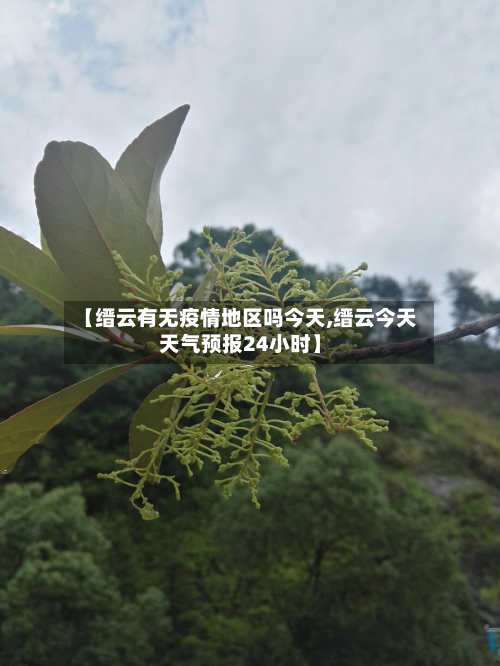 【缙云有无疫情地区吗今天,缙云今天天气预报24小时】-第3张图片