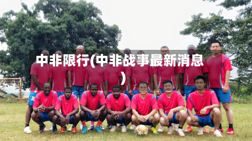 中非限行(中非战事最新消息)-第2张图片