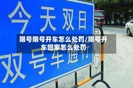 限号限号开车怎么处罚/限号开车回家怎么处罚-第2张图片