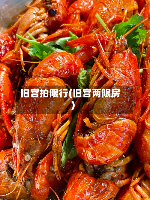 旧宫拍限行(旧宫两限房)-第2张图片