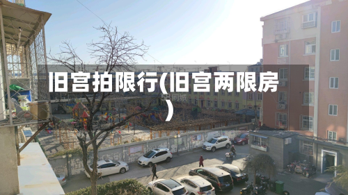 旧宫拍限行(旧宫两限房)
