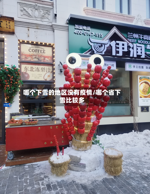 哪个下雪的地区没有疫情/哪个省下雪比较多-第3张图片