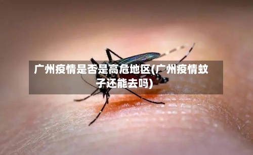 广州疫情是否是高危地区(广州疫情蚊子还能去吗)