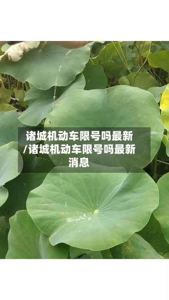 诸城机动车限号吗最新/诸城机动车限号吗最新消息